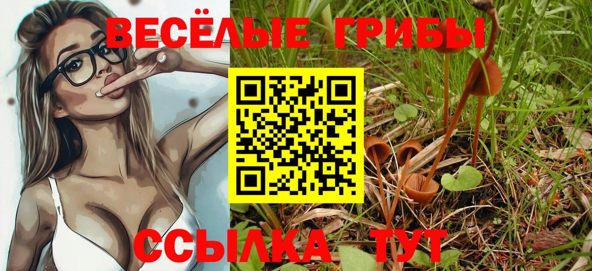 даркнет сайт  Вход с VPN  Моздок  Галлюциногенные грибы Cubensis 
